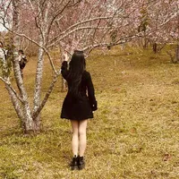 Tác giả đây