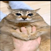 TG kẻ đã bán linh hồn cho quỷ dữ