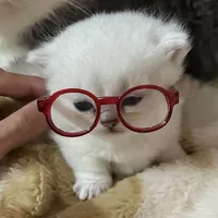 Tác giả