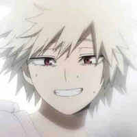 Mitsuki Bakugou 