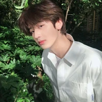 Trần Gia Huy