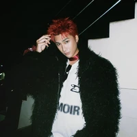 Đỗ việt tiến[Mèo xám]