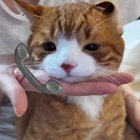 tác giả