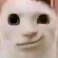 đang móc,hối hoài