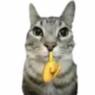 All (ai rảnh đâu mà trừ cho mấy người)