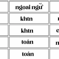 tg bị điên vì tkb