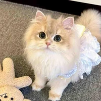 Tác giả cutiiiii ❤️