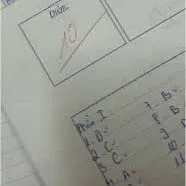 t/g đay