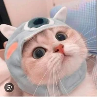 con hệ thống ngu si(gana)