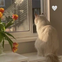 All[nhóm em]<-ai thì->