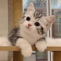 Hủ