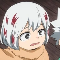 Todoroki Fuyumi