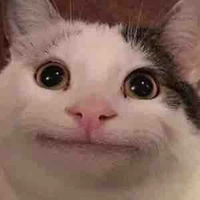 Sai Đẹp Triêu(t/g)