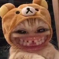 T/g