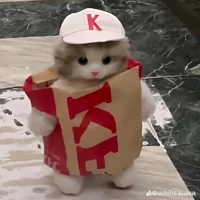 h1h4 (dạng mèo)