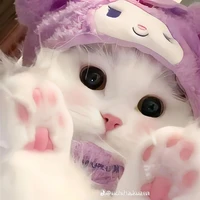 yummie mèo trắng 