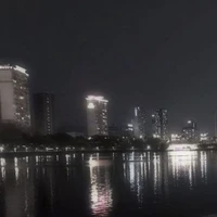 All bot