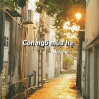Con ngõ mùa hạ -Ngõ nhỏ-