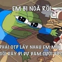 T/G báo