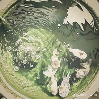 Đệ tử tông môn