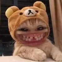 Cả nhóm báo XK nì