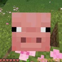 all Survival🐖