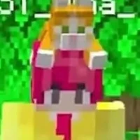 ST_hiha
