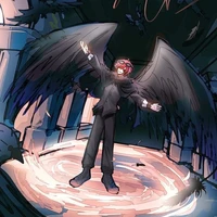 hiha crow