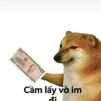 bạn khác của tg