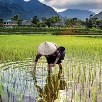 Mẹ các char