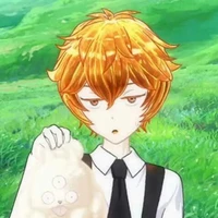 zircon