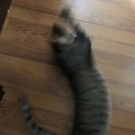 nhỏ tg truyện flop