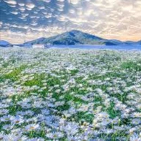 Đ/G NAM/ NỮ ĐÃ TỪNG ĐỌC