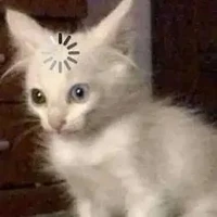 T/giả đang load...