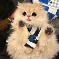 3 ng đẹp thik phá hoại 