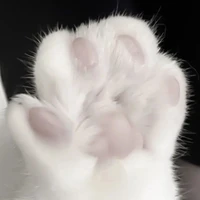 bé bốngg_ mèo cưng của em