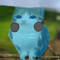 bluudud (thằng nghiện game)