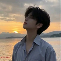 Đinh Hoài Anh Lưu