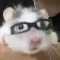 t/g.