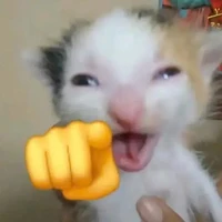 mồn lèo bị điên