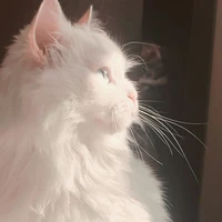 All ( - ai thì trừ )