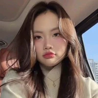 Phương Mỹ Chi