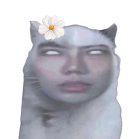 Hệ thống