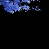 Đ𝐚 𝐍𝐡𝐚̂𝐧 𝐕𝐚̣̂𝐭