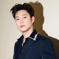 Trần Đăng Dương - Domic