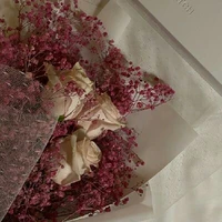 allhiha ( trừ ai hì trừ)