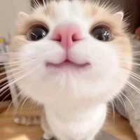 all (trừ ai thì trừ)