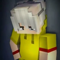 Vid