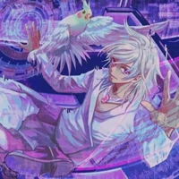 hiha hologam