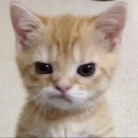 My Little Love Bùi Trường Linh 💃.